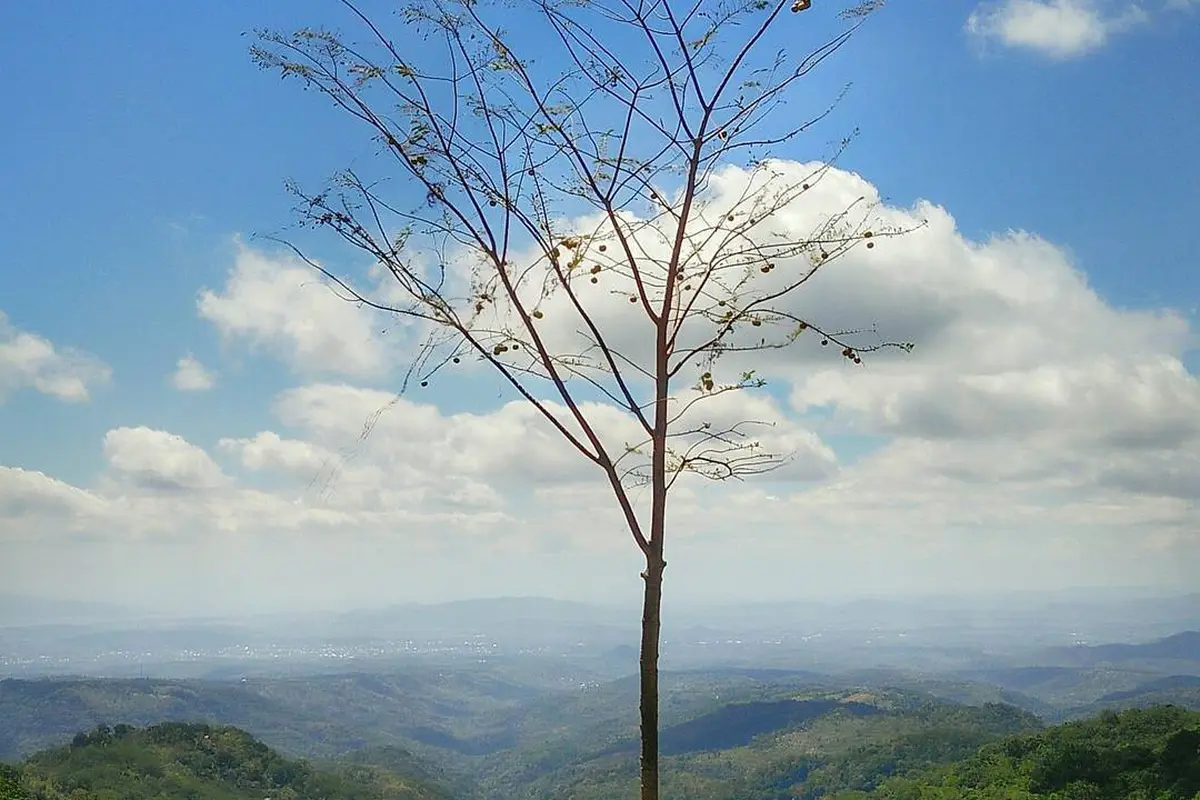 [Bintang] Nusa Tenggara