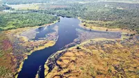 Ilmuwan Akhirnya Temukan Sungai Paling Gelap di Dunia, Nyaris Tanpa Bayangan