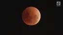 Fase gerhana bulan "super blue blood moon" terlihat di atas langit Jakarta, Rabu (31/1). Ini merupakan fenomena langka karena bulan menunjukkan tiga fenomena sekaligus, yaitu supermoon, blue moon, dan gerhana bulan. (Liputan6.com/Arya Manggala)