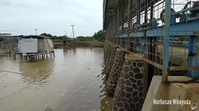 Rekomendasi Spot Mancing Nyaman 2025 di Dam Pitulas Desa Bungko Cirebon/ Youtube Nurhasan Wirayuda