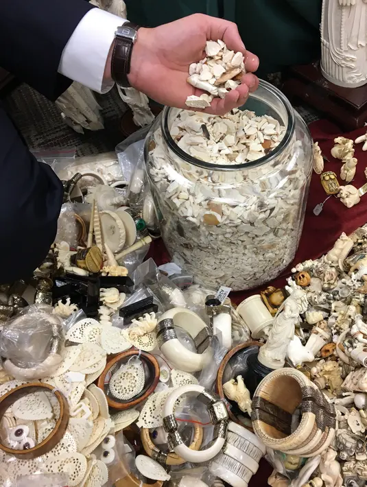 Petugas menunjukan kerajinan dari gading gajah yang telah dihancurkan di Albany, New York (27/7). Penghancuran kerajinan gading gajah ini bertujuan untuk memerangi perdagangan gading ilegal. (AP Photo / Mary Esch)