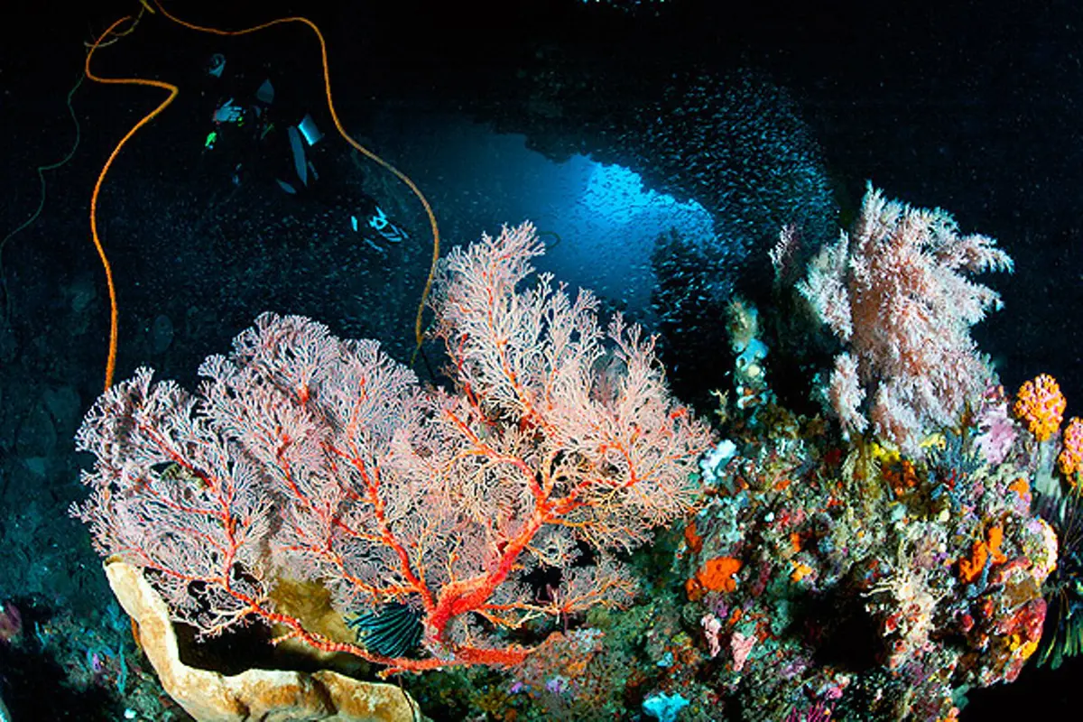 Laut Banda, Pesona dan Misteri Palung Terdalam di Indonesia