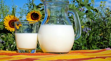 Ilustrasi susu (dok. Pixabay.com/Couleur/Putu Elmira)