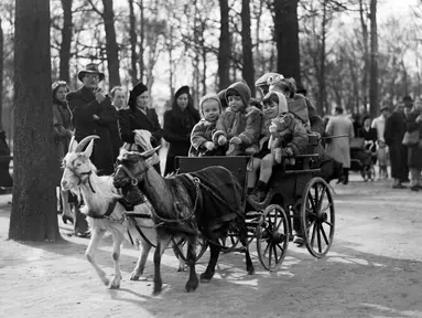 Anak-anak menikmati jalan-jalan naik kereta yang ditarik oleh kambing di The Champs Elysées Avenue, Paris, Prancis, 23 Maret 1947. (AFP)
