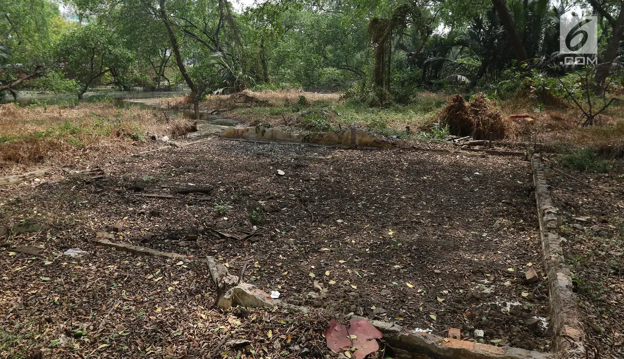 Kondisi Suaka Margasatwa Muara Angke, Jakarta, Selasa (17/9/2019). Suaka Margasatwa Muara Angke akan dikembangkan sebagai pusat edukasi mangrove. (Liputan6.com/Herman Zakharia)