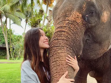 Pemeran Lulu di film Imperfect memang seorang pencinta binatang. Ia sangat suka dengan dengan binatang seperti gajah. Yasmin Napper bahkan tak ragu memeluk belalai gajah disertai dengan senyum lebar tanda ia begitu senang dekat dengan gajah. (Liputan6.com/IG/@yasminnapper)