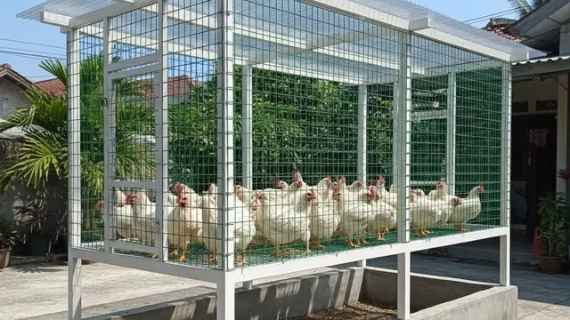 Desain Kandang Ayam Baja Ringan. AI