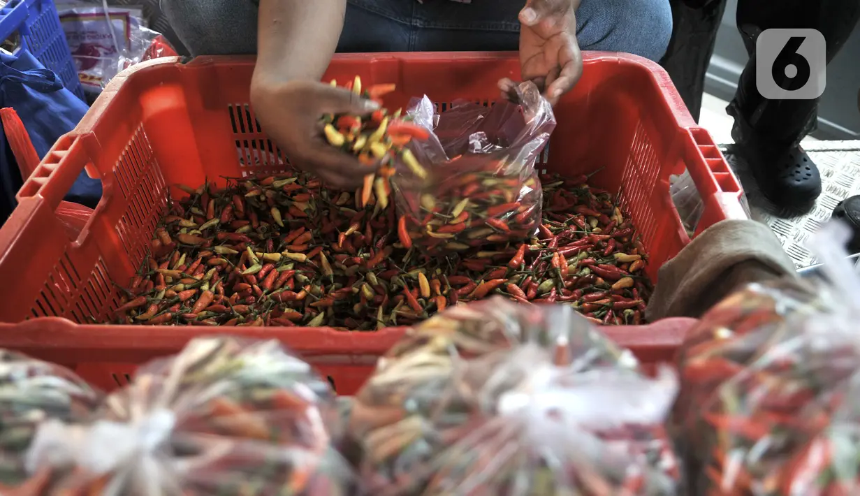 Pedagang menyiapkan paket cabai rawit merah saat Operasi Pasar Murah di Pasar Senen, Senin, Jakarta (3/2/2020). Harga cabai rawit merah dijual Rp40.000 per kilogram, lebih murah dibandingkan harga pasar saat ini mencapai 90 ribu per kilogram. (merdeka.com/Iqbal S Nugroho)