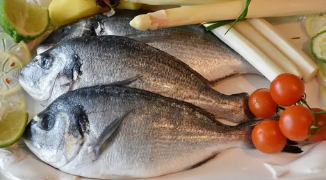 520 Ikan Air Laut Pakan Terbaru