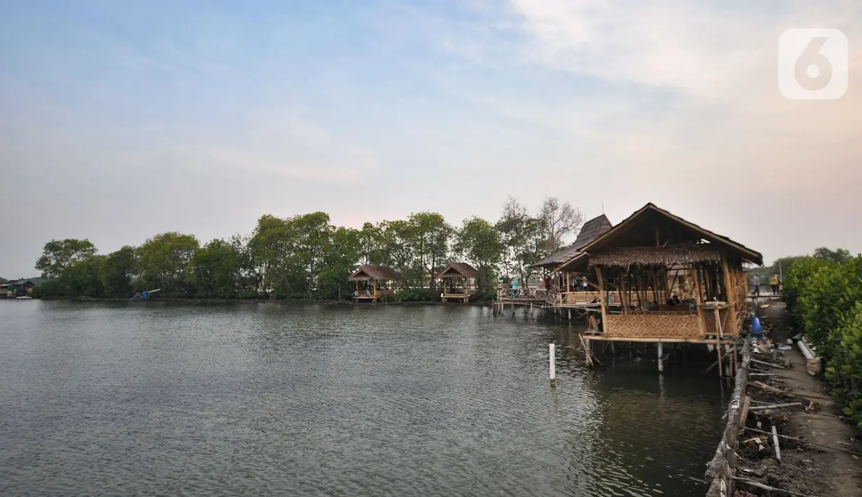 Suasana Taman Wisata Hutan Bakau (Mangrove) di Desa Segarajaya, Tarumajaya, Bekasi, Jawa Barat (24/11/2019). Taman wisata ini memliki ikon Jembatan Cinta yang menjadi salah satu destinasi favorit warga, baik dari dalam maupun luar Bekasi. (merdeka.com/Iqbal S. Nugroho)