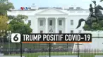 trump positif