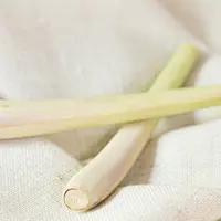 Serai//copyright unsplash/volantaroma