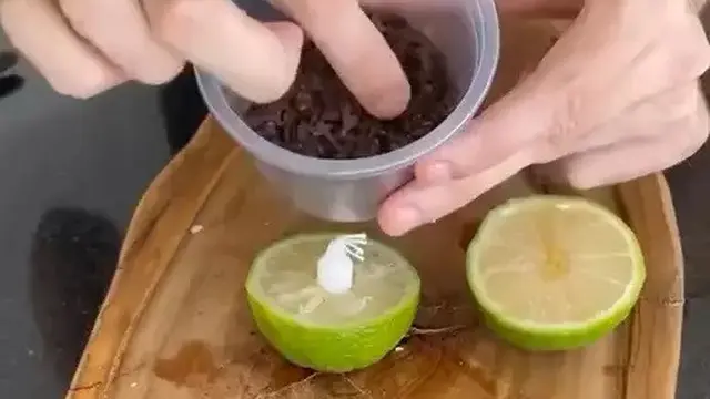 Tanpa Menabur Garam, Begini Trik Efektif Usir Nyamuk dengan 2 Bahan Dapur