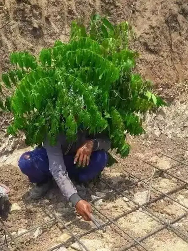 7 Potret Kocak Orang Pakai Rambut Palsu dari Tanaman Ini Absurd Banget