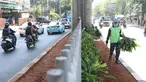 Pekerja menanam tanaman di sepanjang kolong pembatas jalan Koridor XIII, Jakarta, Senin (18/9). Penanaman bertujuan menata kembali pembatas jalan yang sempat rusak akibat pembangunan jalur Transjakarta Koridor XII. (Liputan6.com/Immanuel Antonius)
