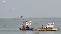 Bukan Pohon, Paus Jadi Jawaban untuk Atasi Perubahan Iklim