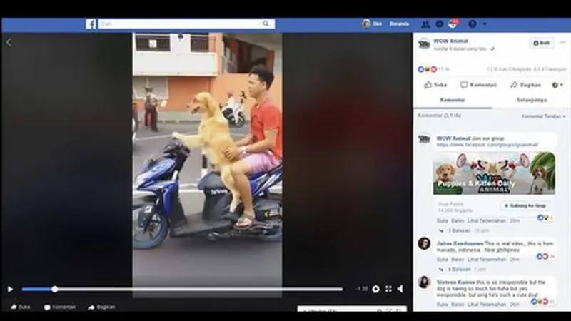 Anjing mengendarai motor