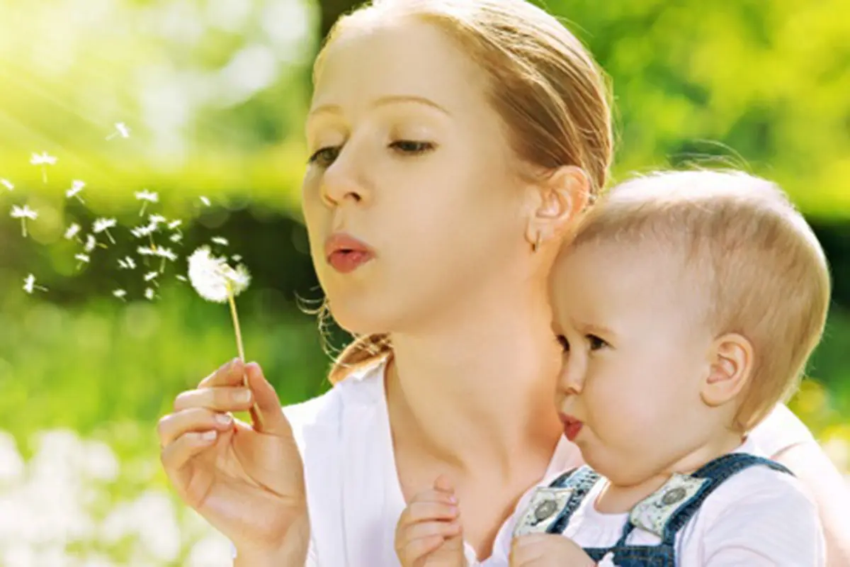 Foto: copyright shutterstock.com