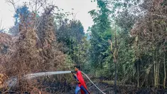 Pelajar bernama Rudiansyah dengan mengenakan kostum Superman membantu memadamkan kebakaran hutan dan lahan di Petuk Katimpun, Palangkaraya, Kalimantan Tengah, 17 Agustus 2026. (AFP/ Reina)
