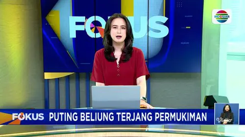 Fokus : Puting Beliung Terjang Permukiman di Kalideres, Puluhan Rumah Alami Kerusakan