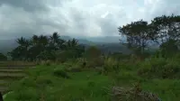 Suasana asri masih terasa di situs Leuweung Leutik Desa Cigugur Kabupaten Kuningan dan jejak peninggalan Pangeran Madrais. Foto (Liputan6.com / Panji Prayitno)