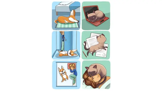 Bikin Greget, 6 Ilustrasi Ini Tunjukkan Beda Kucing dan Anjing Saat Bersama Manusia