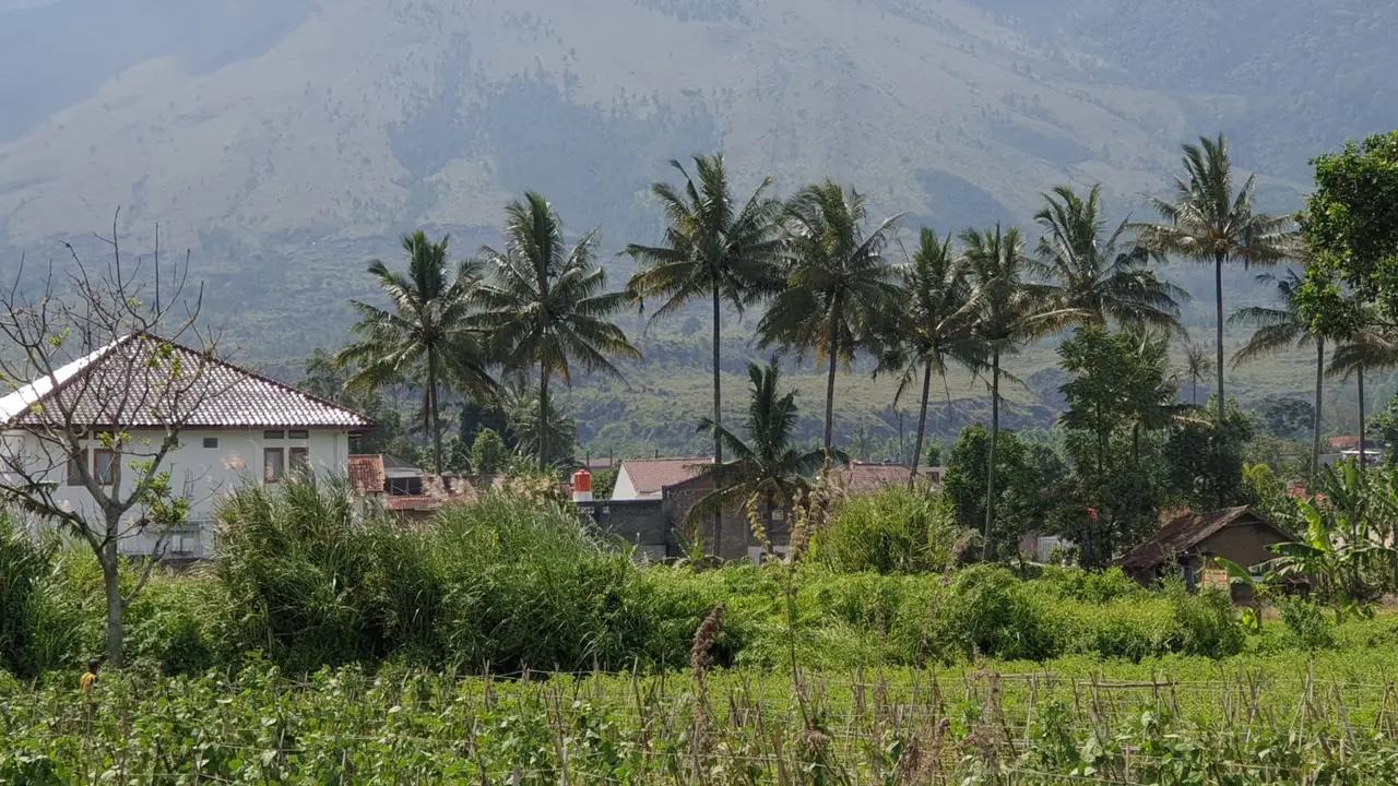 WALHI Jawa Barat mengingatkan rencana Pemerintah Daerah (Pemda) Garut, mengajukan perubahan status Gunung Guntur menjadi Taman Wisata Alam (TWA) dari Cagar Alam tidak merusak ekosistem alam sekitar.