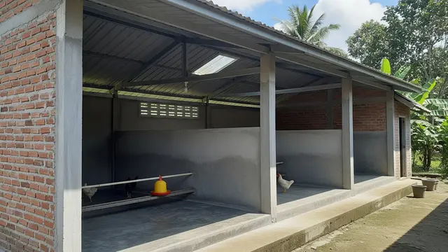 Model Kandang Ayam Anti Ular dan Banjir
