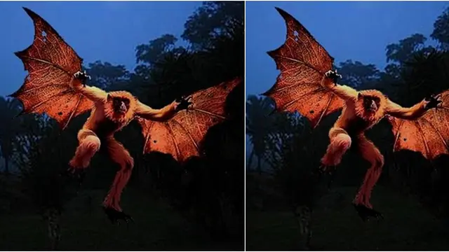 Courtesy Photobucket.com