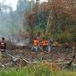 Kebakaran hutan dan lahan di Kalimantan Barat. (Liputan6.com/Raden AMP)