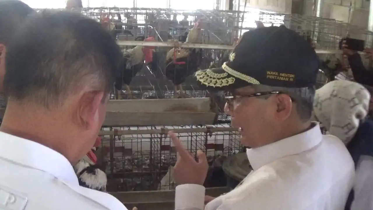Wakil Menteri Pertanian Harvick Hasnul Qolbi