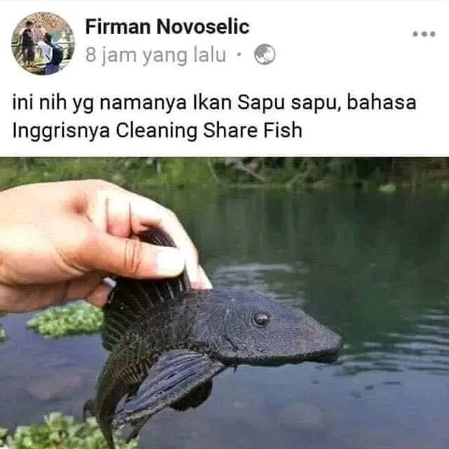 7 Jokes Bapak-Bapak di Media Sosial Ini Kocak, Bikin Ngakak