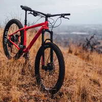 ilustrasi  Manfaat Bersepeda/Patrick Hendry/unsplash.com