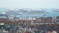 Singapura Akan Buka Jalur Masuk WNI dari Batam Via Laut Lewat Program VTL Sea