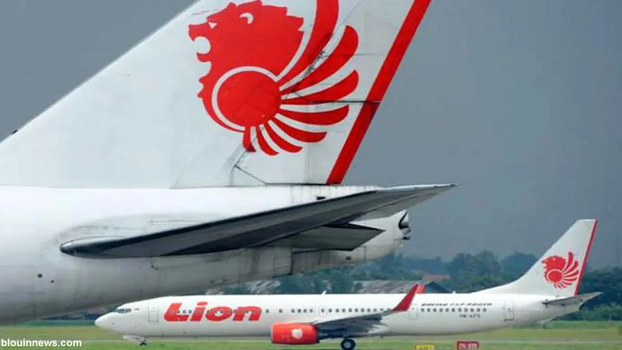 lion-air-8-130413c.jpg