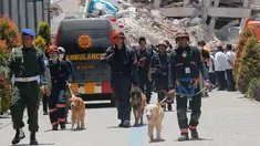 Unit K9 mengerahkan anjing pelacak saat mencari korban gempa dan tsunami di Hotel Roa-Roa, Palu, Sulawesi Tengah, Rabu (3/10). Anjing K9 dikerahkan untuk mengendus keberadaan tubuh korban yang tertimbun reruntuhan. (AP Photo/Tatan Syuflana)