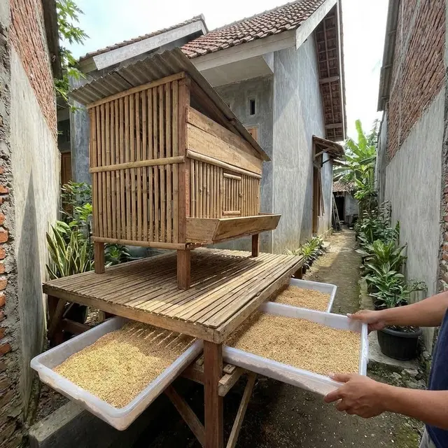 Model Kandang Ayam di Gang Sempit