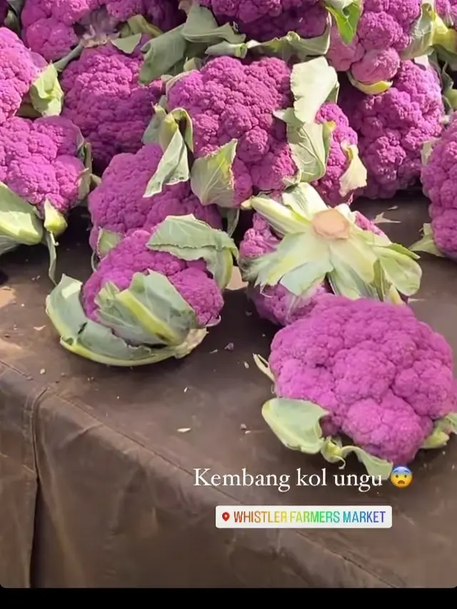 Natasha Wilona lepas kangen dengan kakaknya, Claresta di Kanada (Foto Instagram natashawilona12)