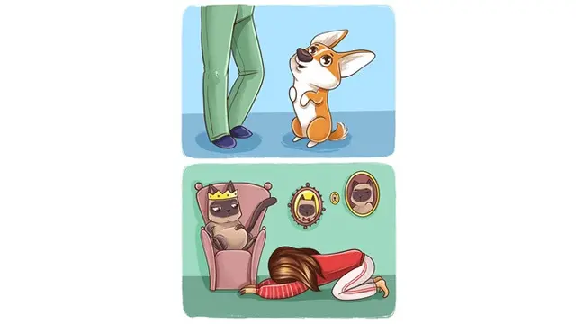 Bikin Greget, 6 Ilustrasi Ini Tunjukkan Beda Kucing dan Anjing Saat Bersama Manusia