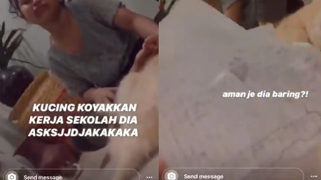 Bocah nangis tugasnya dirusak kucing