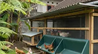Cara Membuat Tempat Telur dari Kardus Bekas, Aksi Kreatif dan Ramah Lingkungan