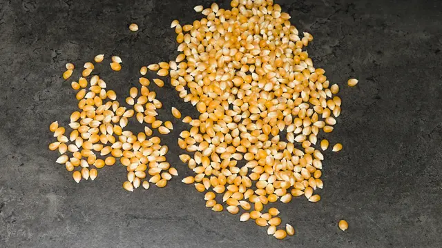 Serba Serbi Jagung Manis, Tips Memilih hingga Cara Memasaknya