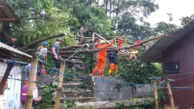 Pohon tumbang timpa rumah warga