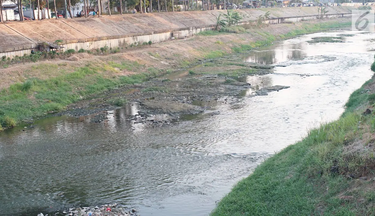 Kondisi aliran Kanal Banjir Timur yang mengalami kekeringan di kawasan Duren Sawit, Jakarta, Selasa (3/9/2019). Kemarau panjang yang melanda Ibu Kota menyebabkan debit air Kanal Banjir Timur berkurang hingga menampakkan dasar kanal. (Liputan6.com/Immanuel Antonius)
