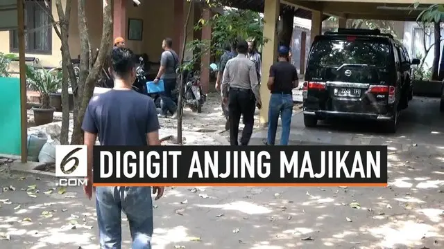 Polisi akan memeriksa pemilik anjing yang menyerang ART dirumahnya.