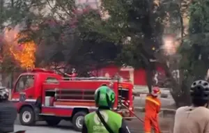 Kronologi Kabel Terbakar hingga Merambat ke Pohon di Cinere Depok