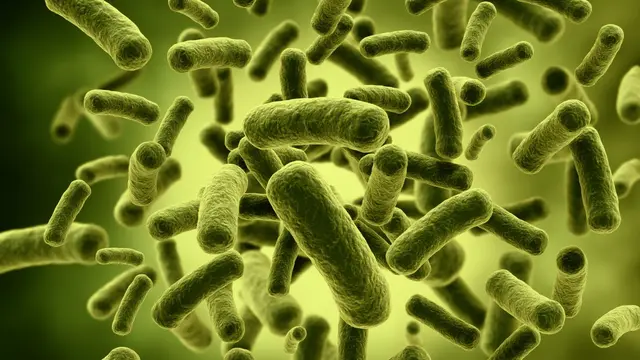 Konsumsi Probiotik Kurangi Cemas dan Depresi?