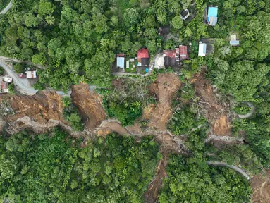 Foto udara yang diambil menggunakan drone ini menunjukkan wilayah yang terdampak longsor di Bener Meriah, Provinsi Aceh, Rabu 3 Desember 2025. Tim gabungan pemerintah daerah terus melakukan operasi pembukaan jalur darat di wilayah yang terdampak longsor di Kabupaten Bener Meriah, Provinsi Aceh. (AP Photo/Syahrul Rizal)