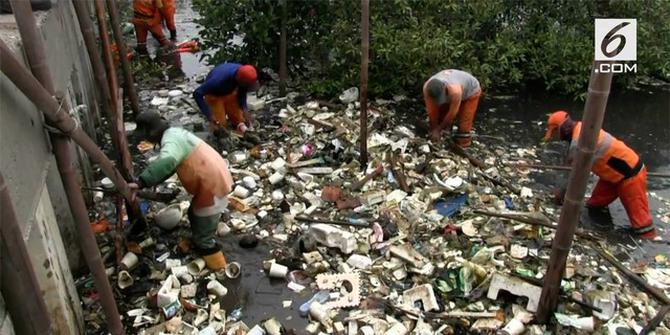 VIDEO: Sampah di Hutan Mangrove Berasal dari Bekasi