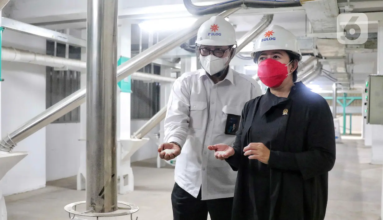 Ketua DPR RI Puan Maharani (kanan) bersama Direktur Utama Perum Badan Urusan Logistik (Bulog) Budi Waseso meninjau proses unit Modern Rice Miling Plant (MRMP) di Karawang, Jawa Barat, Rabu (21/9/2022). Kunjungan kerja tersebut guna membantu petani dalam negeri melalui infrastruktur penggunaan teknologi modern proses pengolahan beras untuk mewujudkan ketahanan pangan nasional. (Liputan6.com/Angga Yuniar)